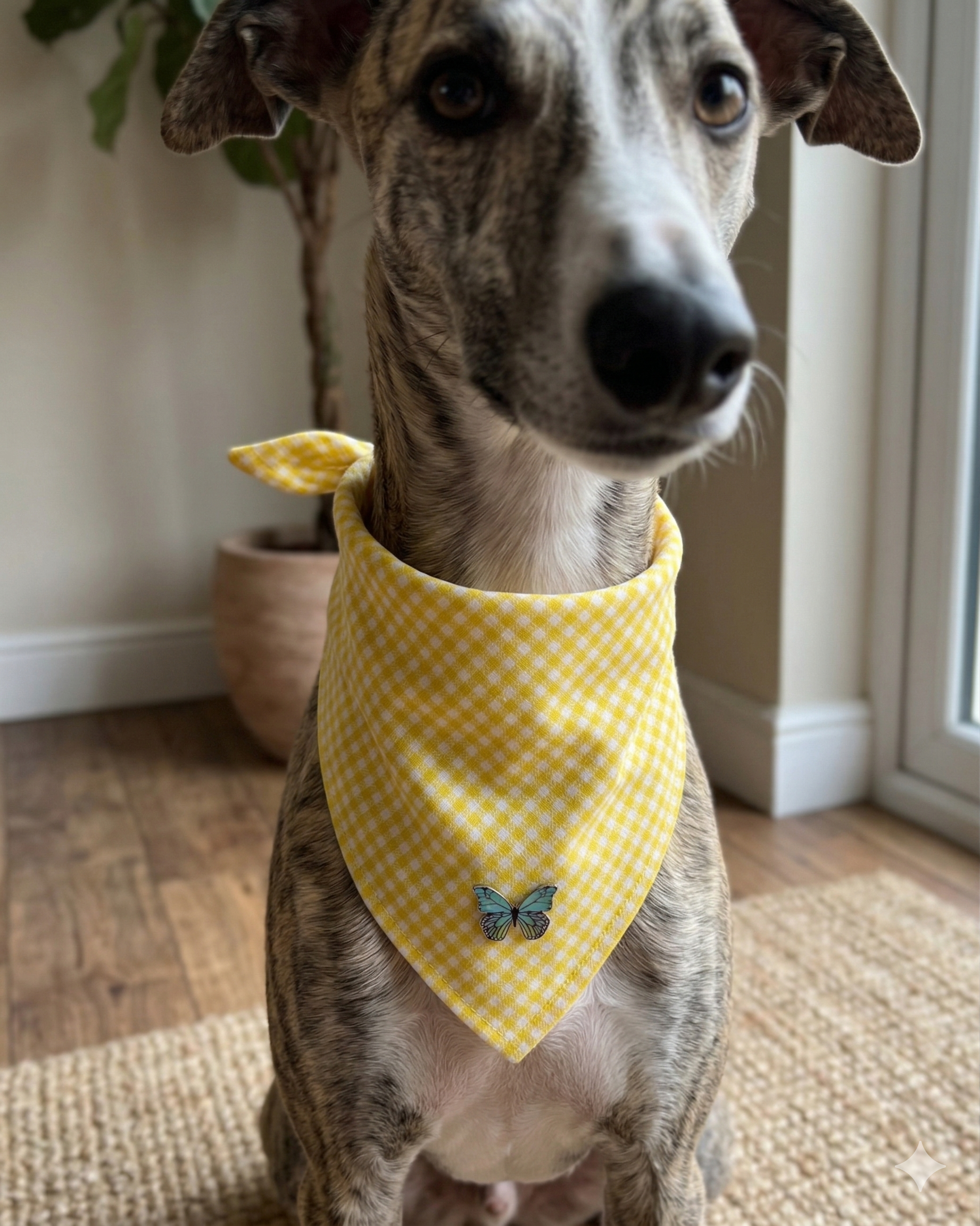Bandanas
