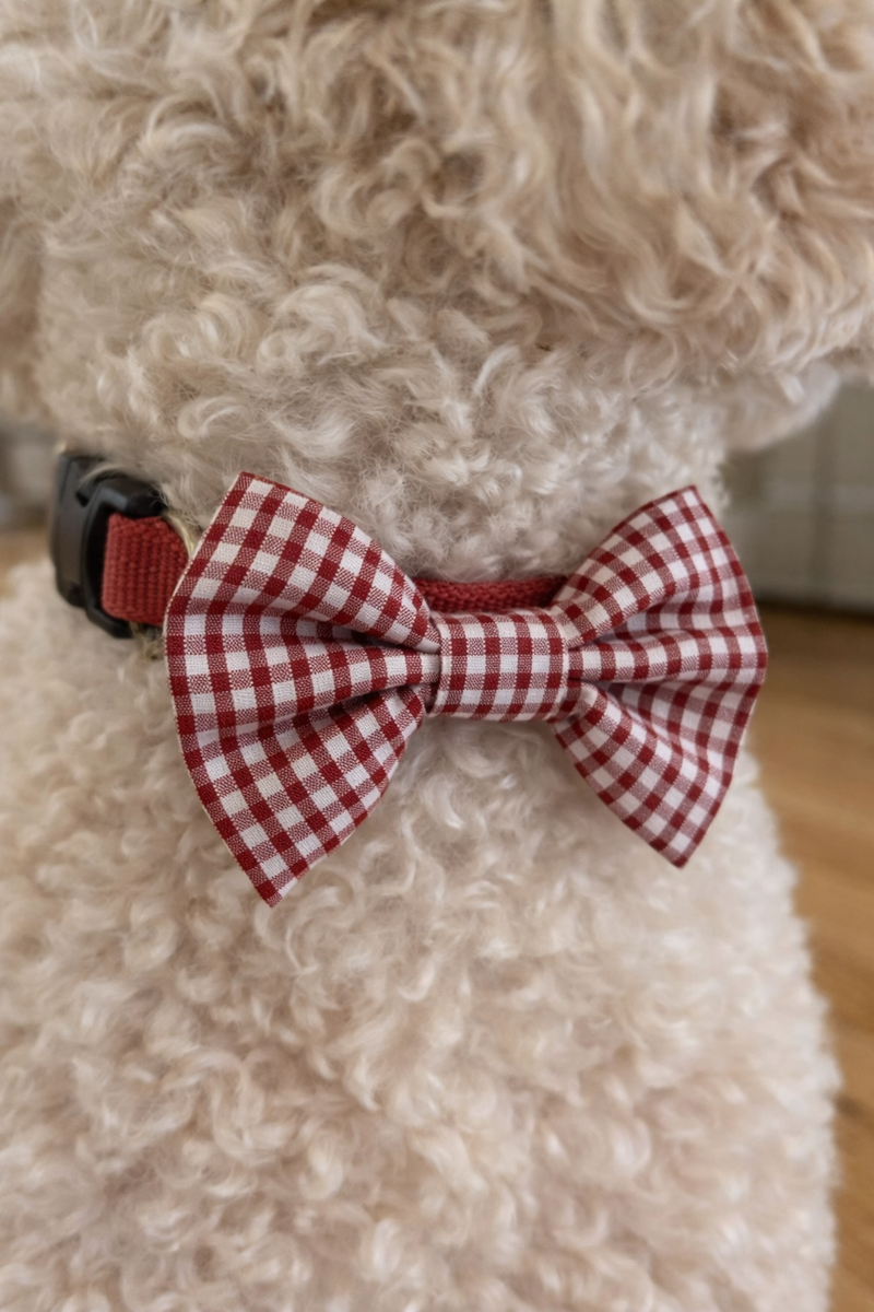 Bows