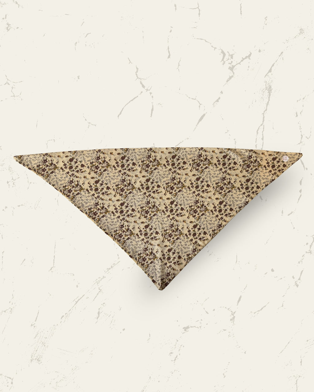Autumn Spice Dog Bandana