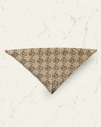 Autumn Spice Dog Bandana