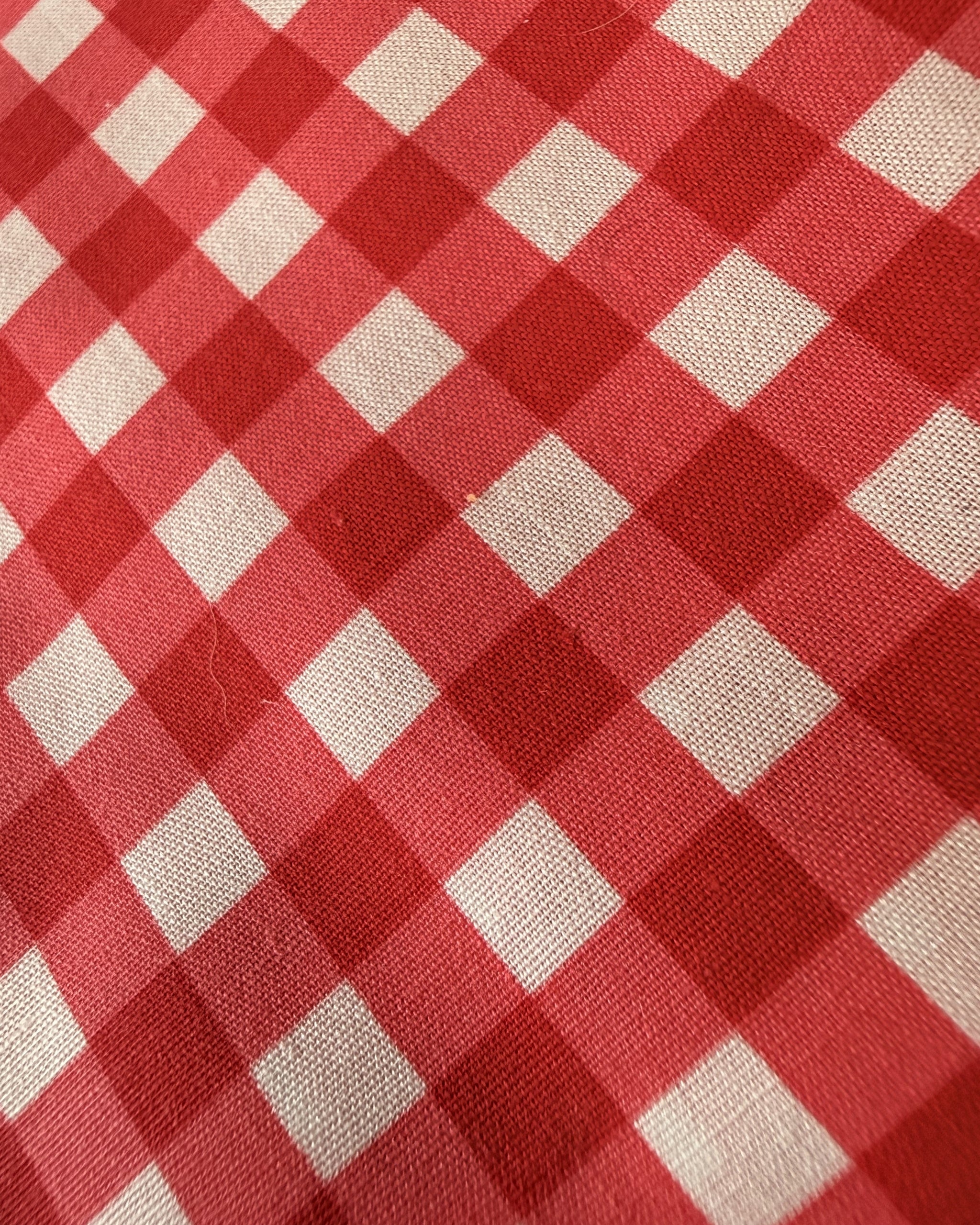 Cherry Check Dog Bandana — closeup view | Hector's Threads