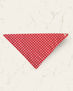 Cherry Check Dog Bandana — front view | Hector's Threads