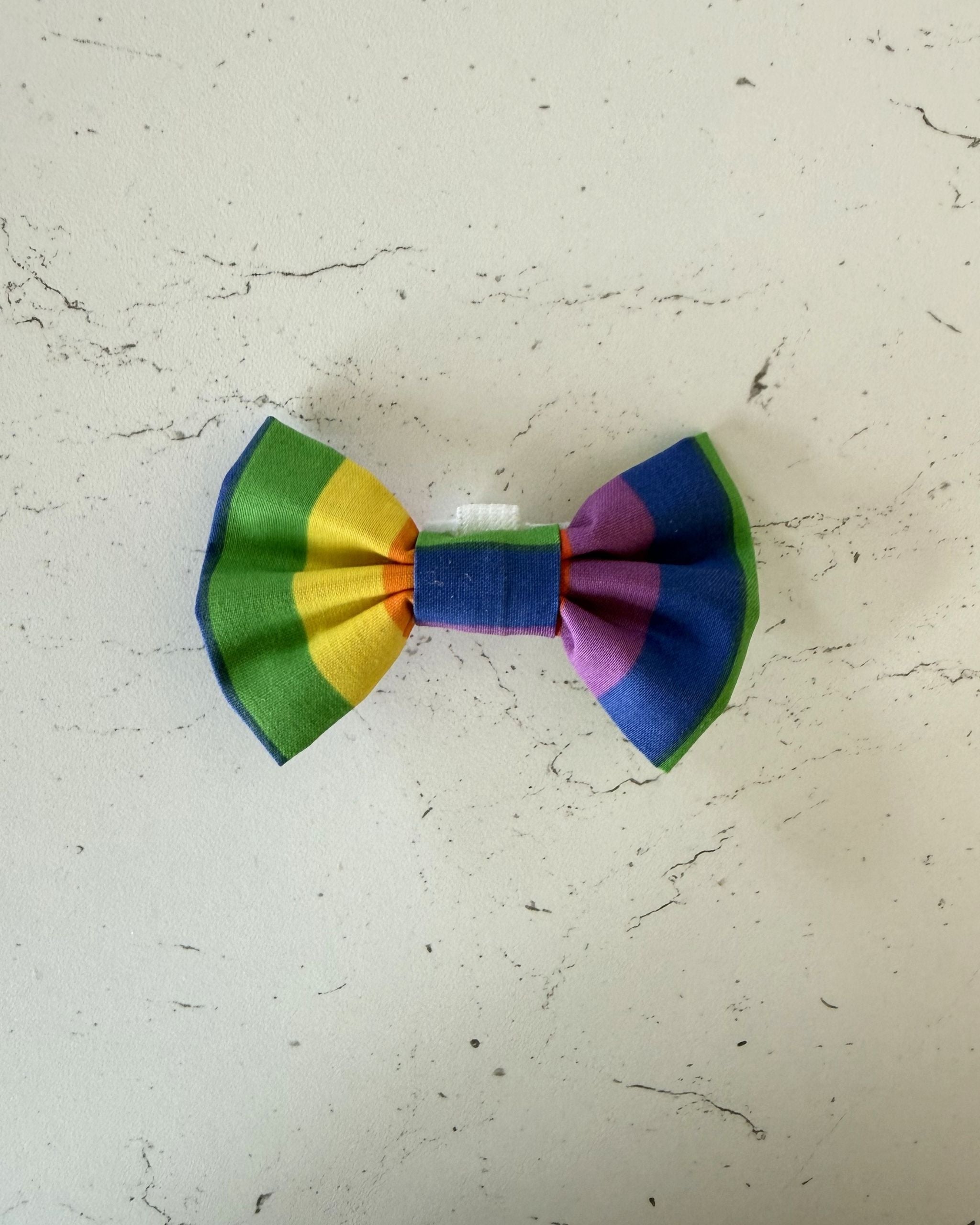 Rainbow Bright Dog Bow — front view | Hector's Threads