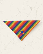 Rainbow Pride Dog Bandana — front view | Hector's Threads