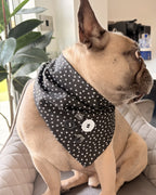 Starry Night Dog Bandana — on-dog view | Hector's Threads