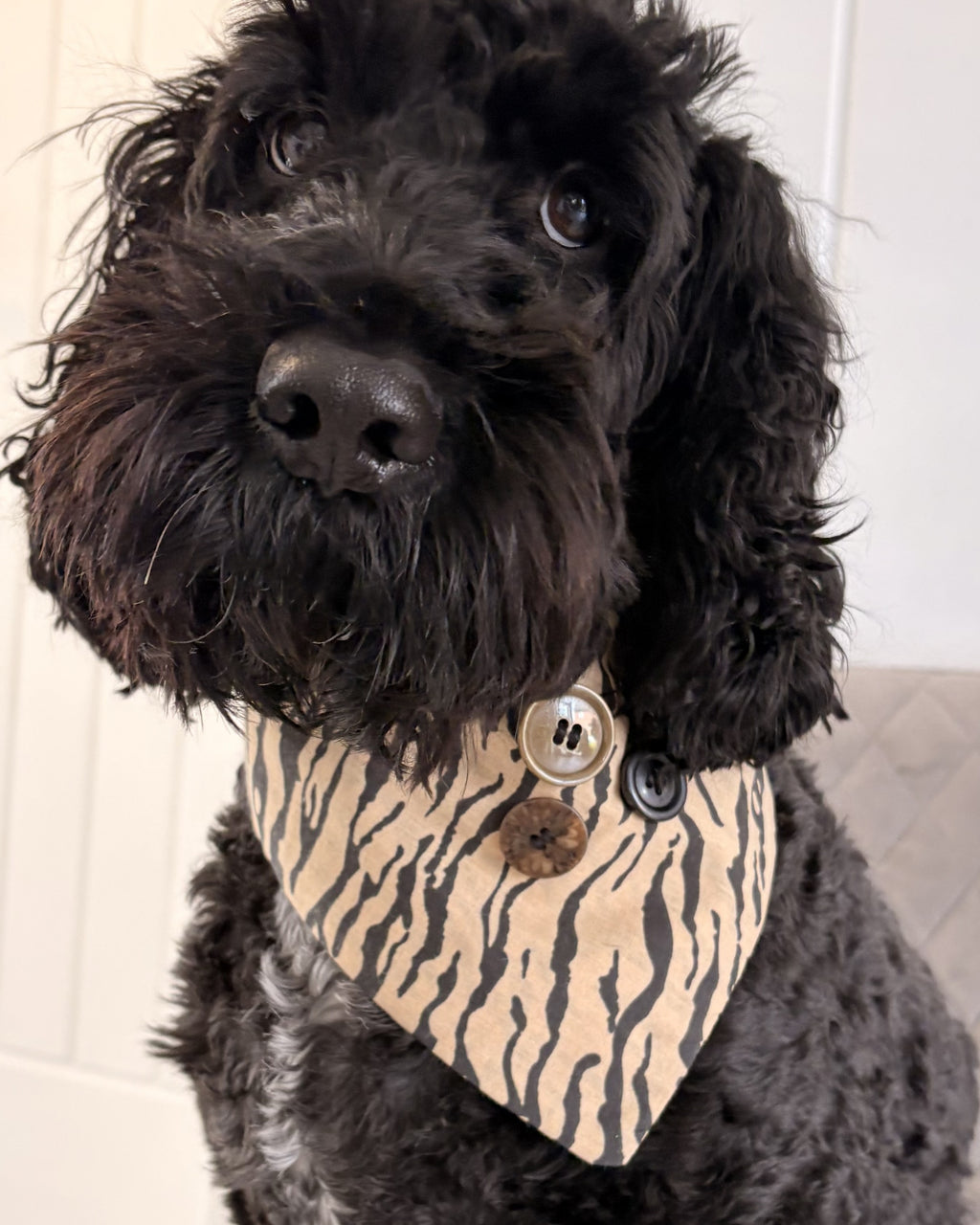 Tiger Stripe Dog Bandana — on-dog view | Hector's Threads