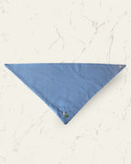 Periwinkle Pop Dog Bandana