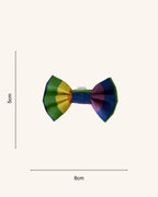 Rainbow Bright Dog Bow